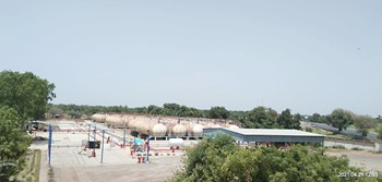 etihad-plant-10