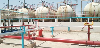 etihad-plant-3