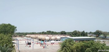etihad-plant-5